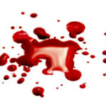 Ahmadiyya Mosque Imam Hacked Inside the Mosque