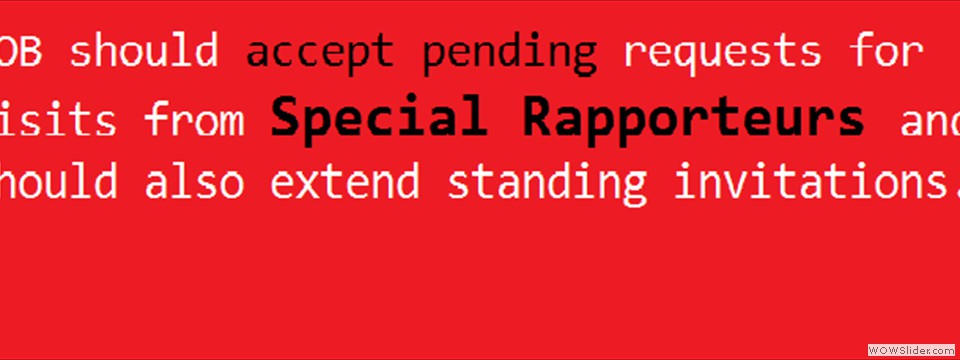 Special Rapporteurs